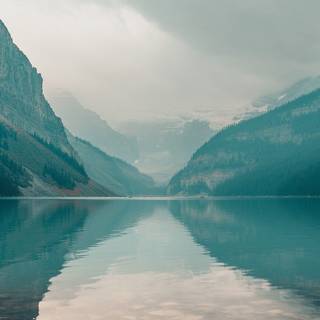 Nature iPhone 13 wallpaper