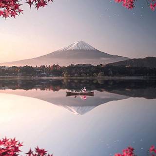 Nature iPhone 13 wallpaper