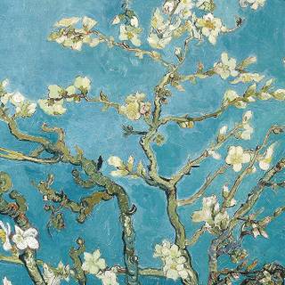 Van Gogh phone wallpaper