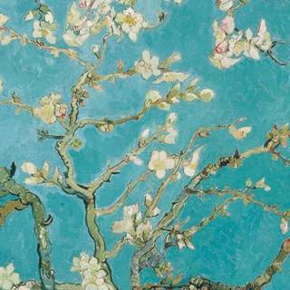 Van Gogh phone wallpaper