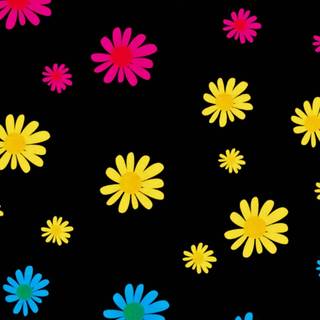 Pansexual phone wallpaper