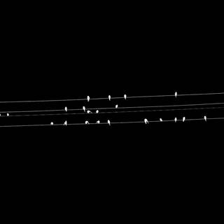 Black minimal iPhone wallpaper