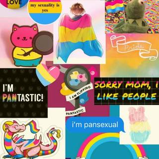 Pansexual phone wallpaper