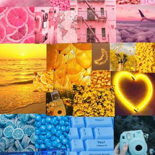 Pansexual phone wallpaper