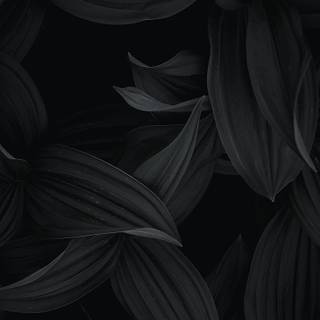 Black minimal iPhone wallpaper