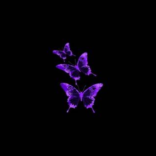 Black and purple iPhone wallpaper