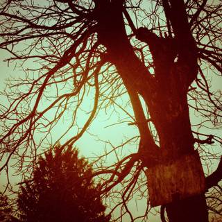 Silent Hill phone wallpaper