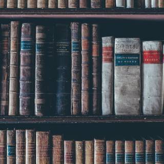 Shelf phone wallpaper