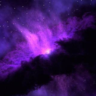 Black and purple iPhone wallpaper