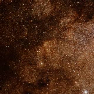 iPhone brown wallpaper