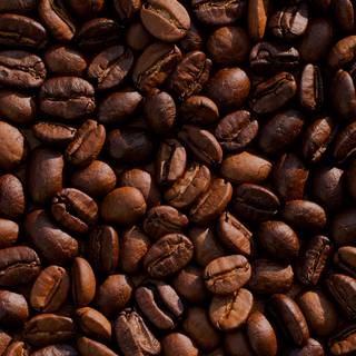 iPhone brown wallpaper