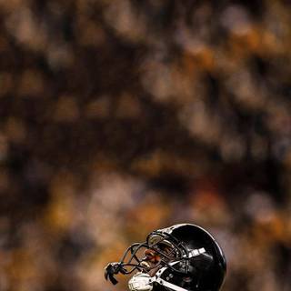 iPhone brown wallpaper