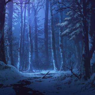 Dark forest winter wallpaper