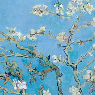 Van Gogh phone wallpaper