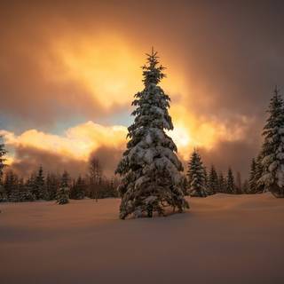 Sunset winter 1920x1080 wallpaper