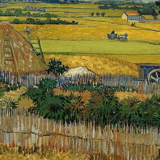 Van Gogh phone wallpaper