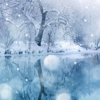 Desktop winter HD wallpaper