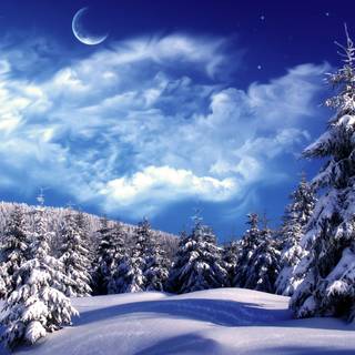 Desktop winter HD wallpaper