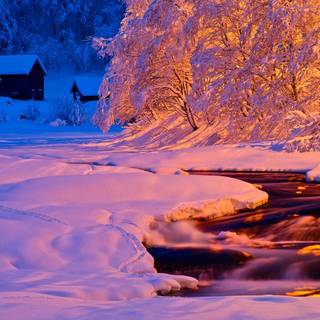 Pink winter PC wallpaper