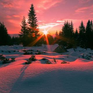 Sunset winter 1920x1080 wallpaper