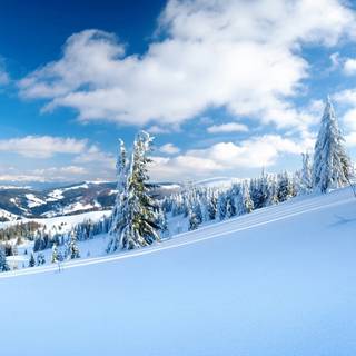 Desktop winter HD wallpaper
