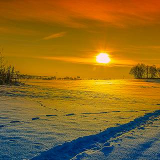Sunset winter 1920x1080 wallpaper
