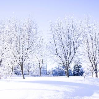 Desktop winter HD wallpaper