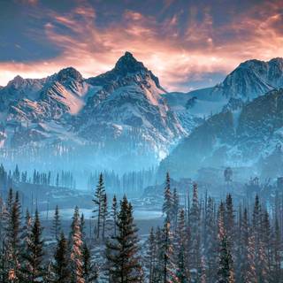 Blue winter forest wallpaper