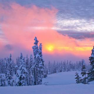 Sunset winter 1920x1080 wallpaper