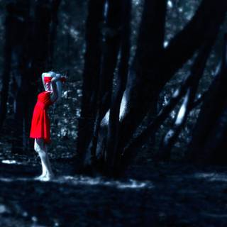 Dark forest winter wallpaper