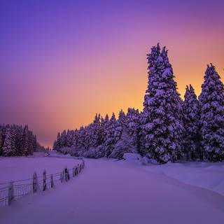 Winter sunset landscape wallpaper