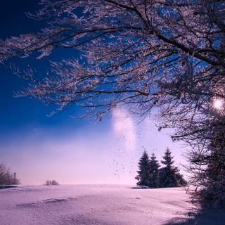 Winter sunset landscape wallpaper