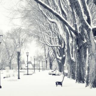 Desktop winter HD wallpaper