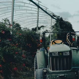 Tractor iPhone wallpaper