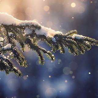 Aesthetic laptop winter wallpaper