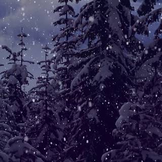 Aesthetic laptop winter wallpaper