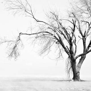 Aesthetic laptop winter wallpaper