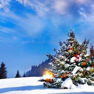 Snow tree winter wallpaper