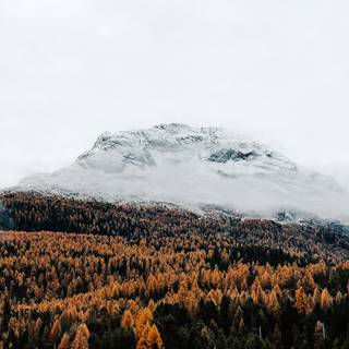 Late autumn mountains wallpaper