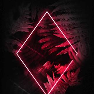 iPhone 12 neon wallpaper