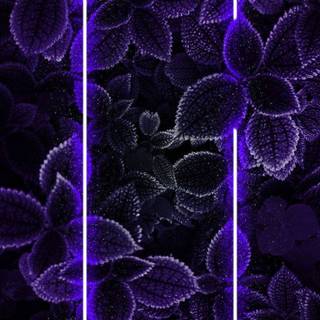 iPhone 12 neon wallpaper