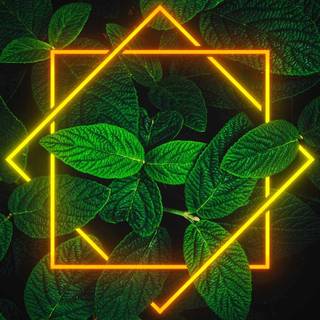 iPhone 12 neon wallpaper