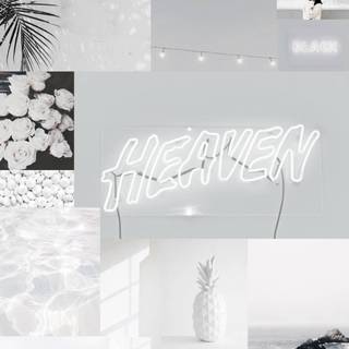 Aesthetic iPhone collage wallpaper