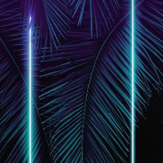 iPhone 12 neon wallpaper