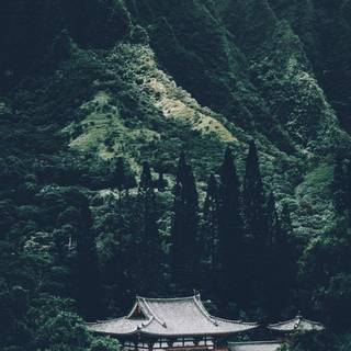 Japan aesthetic iPhone wallpaper