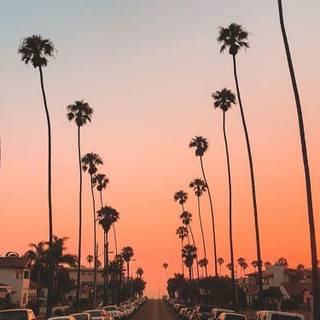 View iPhone wallpaper