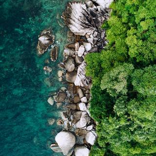 View iPhone wallpaper