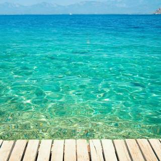 View iPhone wallpaper