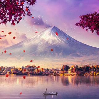 View iPhone wallpaper