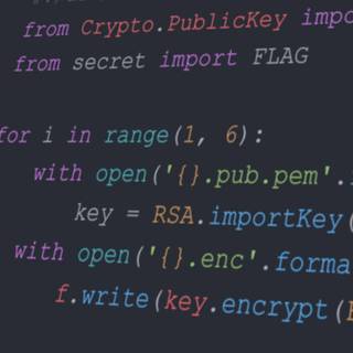 Programming iPhone wallpaper